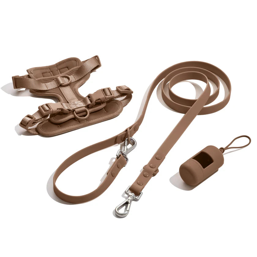 Doxie Walk Set