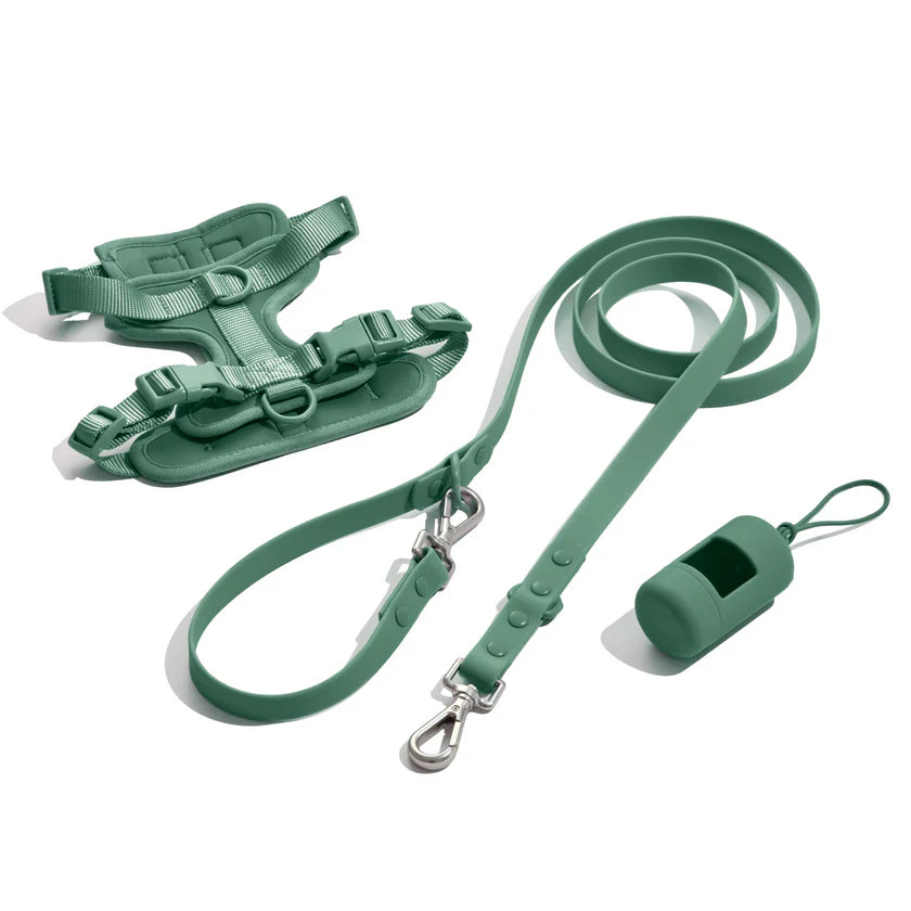 Doxie Walk Set