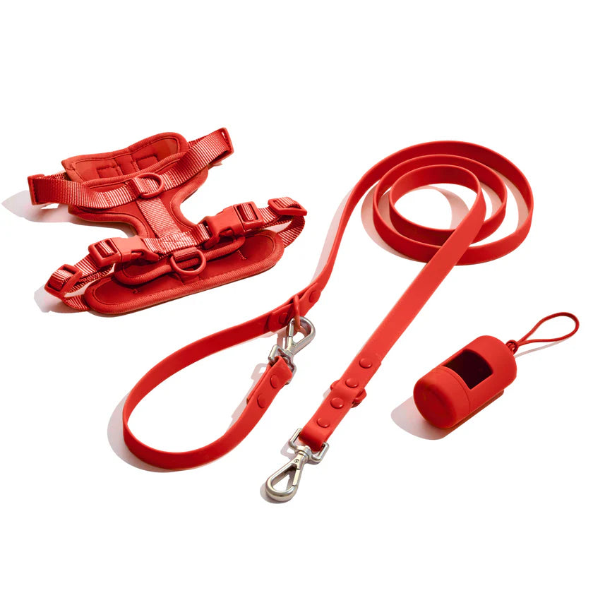 Doxie Walk Set